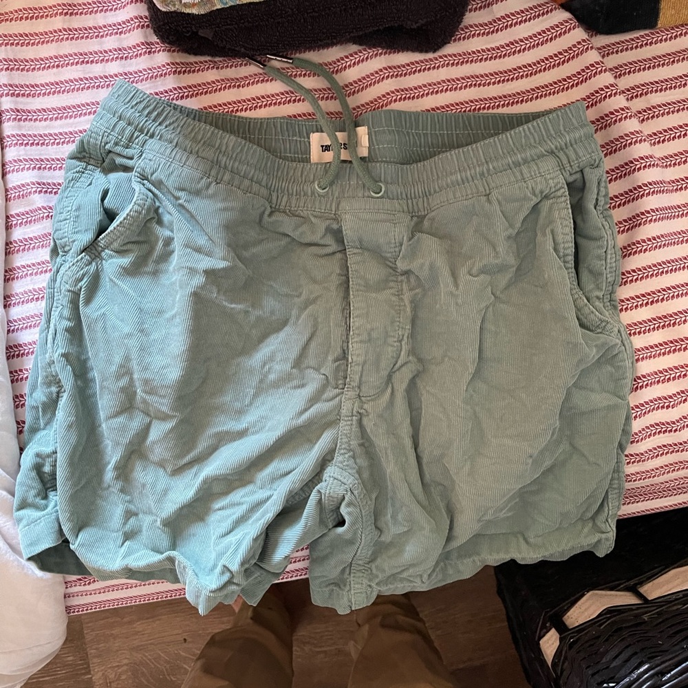Taylor stitch shorts